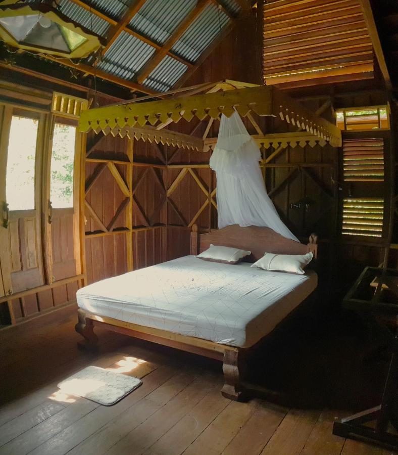 Happy Ria Homestay & Guesthouse Bukit Lawang Luaran gambar