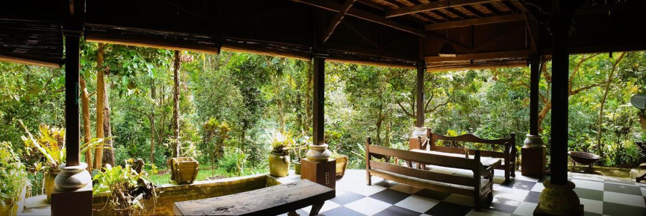 Happy Ria Homestay & Guesthouse Bukit Lawang Luaran gambar