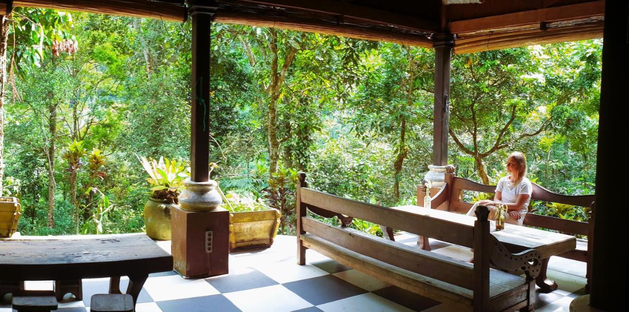 Happy Ria Homestay & Guesthouse Bukit Lawang Luaran gambar