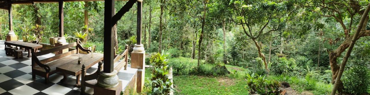 Happy Ria Homestay & Guesthouse Bukit Lawang Luaran gambar