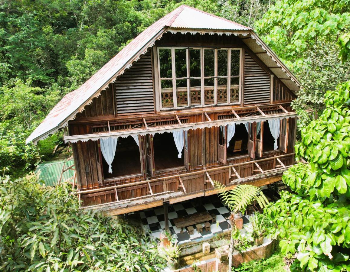 Happy Ria Homestay & Guesthouse Bukit Lawang Luaran gambar