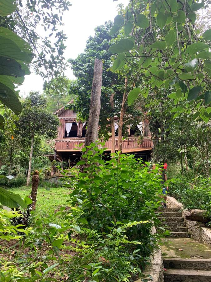 Happy Ria Homestay & Guesthouse Bukit Lawang Luaran gambar
